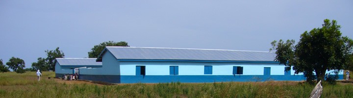 Bagri School
